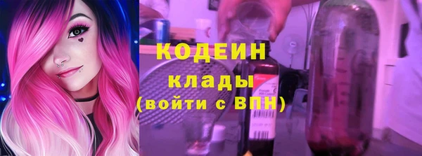 дживик Россошь