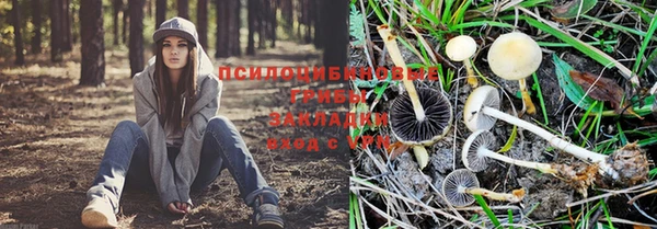 МДПВ Майский