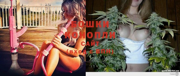 гидропоника Рославль
