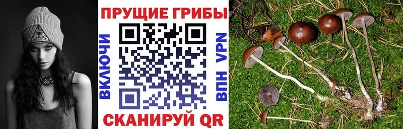 Галлюциногенные грибы ЛСД  MEGA онион  Ясный 